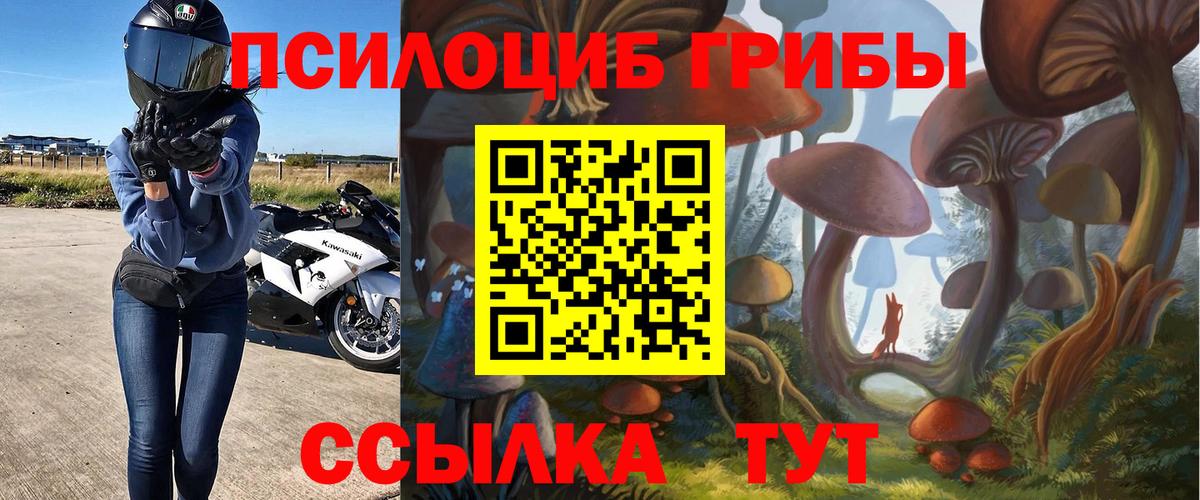 Галлюциногенные грибы мицелий Кингисепп