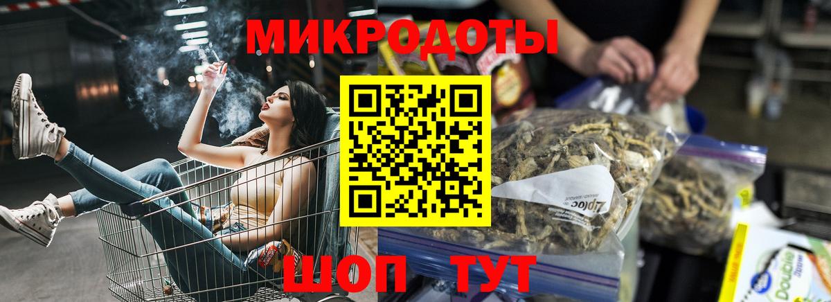Кингисепп  Галлюциногенные грибы Psilocybine cubensis  Вход с VPN  Псилоцибиновые грибы прущие грибы 